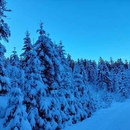 Ubytování na Lipně Cerna v Posumavi Exterior foto